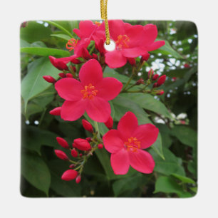 Red Jatropha Flowers Ceramic Ornament