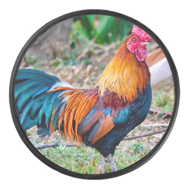 Red junglefowl hockey puck (Front)