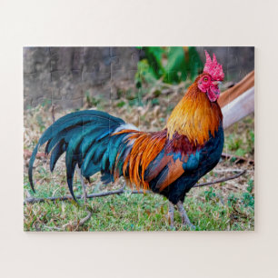 Red junglefowl jigsaw puzzle