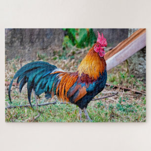 Red junglefowl jigsaw puzzle