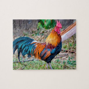 Red junglefowl jigsaw puzzle