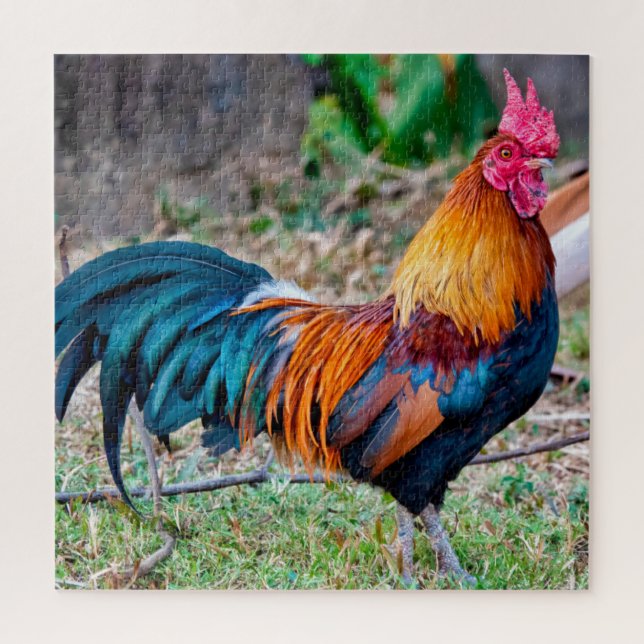 Red junglefowl jigsaw puzzle (Vertical)