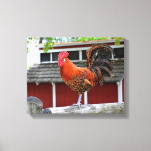 Red Junglefowl Rooster On A Fence Canvas Print