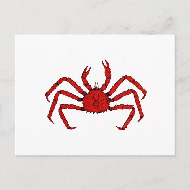 Red King Crab (colour illustration) Postcard (Front)