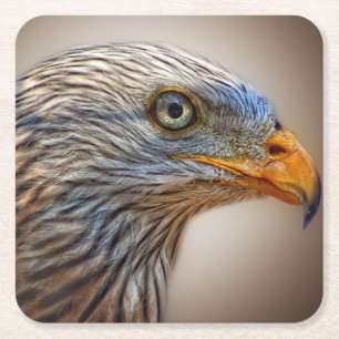 Red Kite Bird of Prey Milan Square Paper Coaster