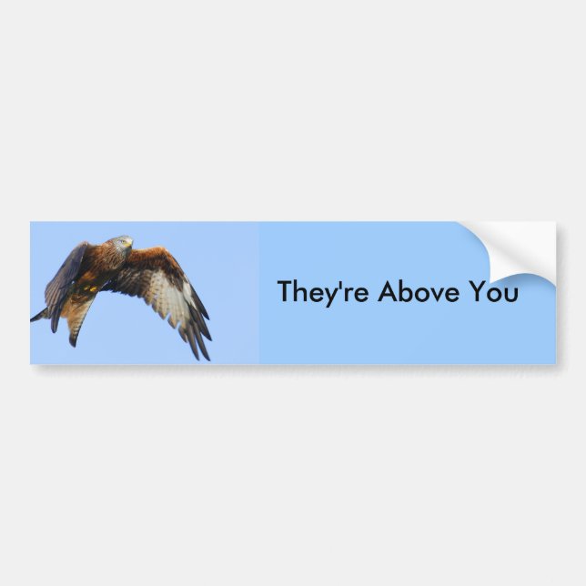 Red Kite Bumper Sticker (Front)