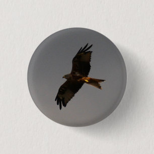Red Kite Button
