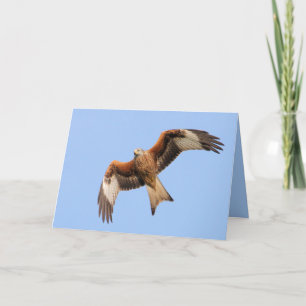Red Kite Card