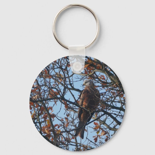 Red Kite in Oak Tree Key Ring  (Front)