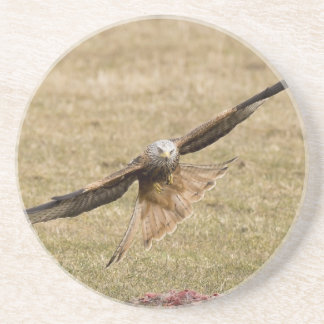 Red Kite (Milvus Milvus) Coaster