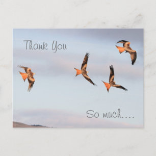Red Kite Thank You Postcard