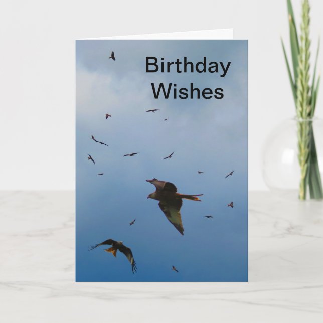 Red Kites - buzzards - Birthday card (Front)