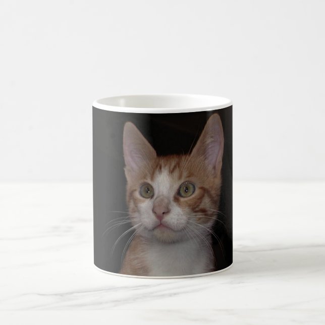 Red kitty - young cat, black background coffee mug (Center)