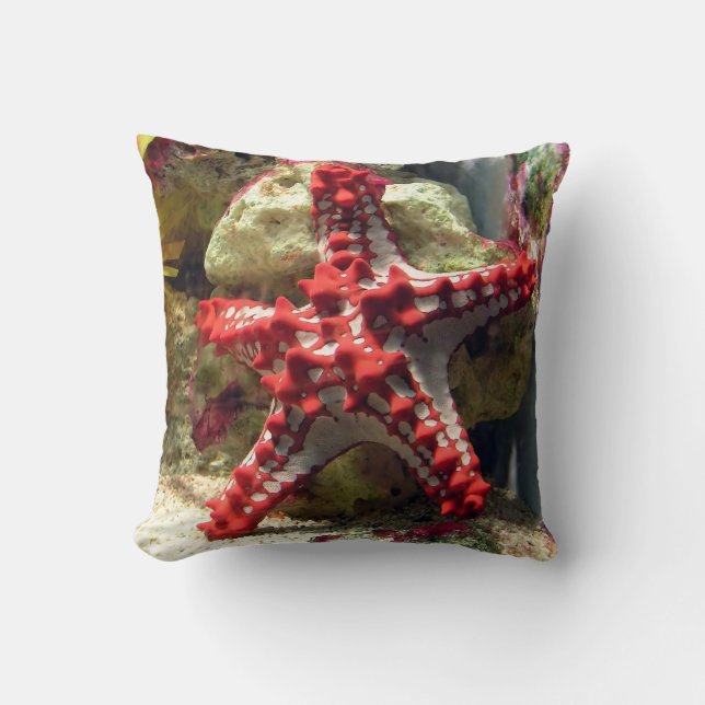 Red Knobbed Starfish - Incredible Shot Cushion (Front)