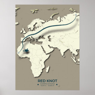 Red Knot Migration Map – Minimalist Vintage Bird Poster