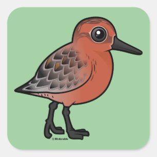 Red Knot Square Sticker