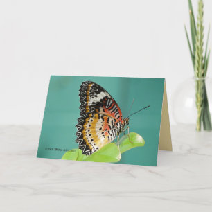 Red Lacewing Buterfly Card