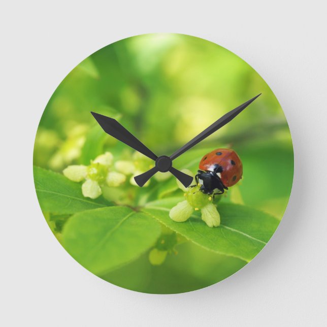 Red ladybird round clock (Front)