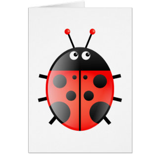 Red Ladybug