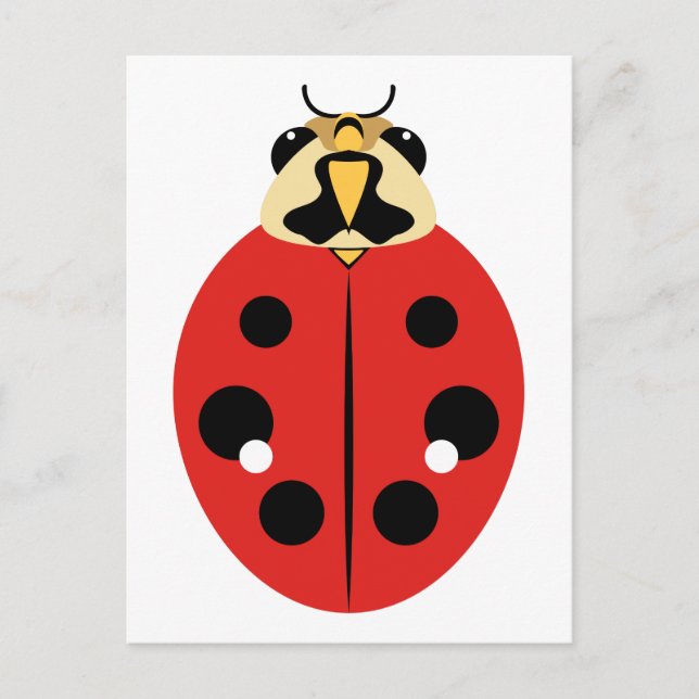 Red Ladybug Beetle Postcard (Front)