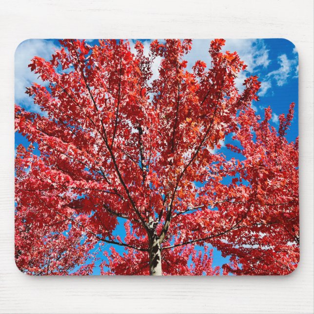 Red Leaf Tree In Fall Mouse Pad (Front)