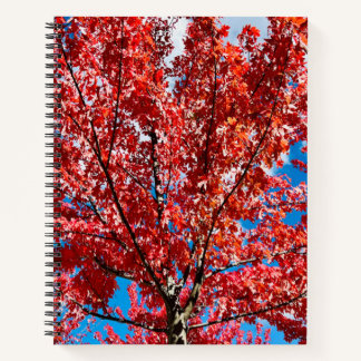Red Leaf Tree In Fall Notebook