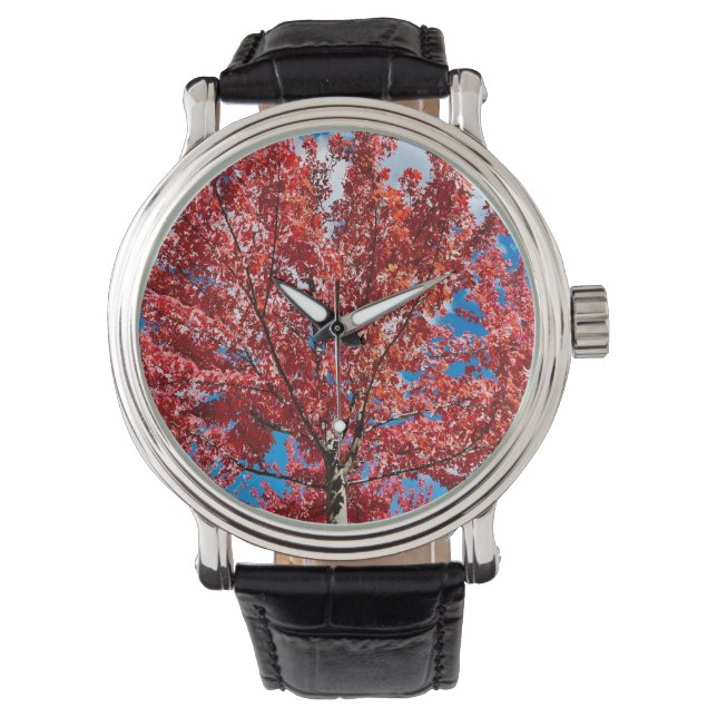 Red Leaf Tree In Fall Watch (Front)
