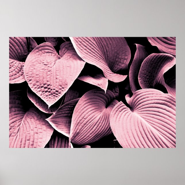 RED LEAFED PLANT POSTER (Front)