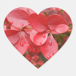 Red Leafs Heart Sticker