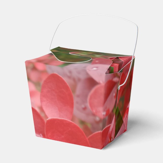 Red Leafs Take Out Favour Box (Front Side)