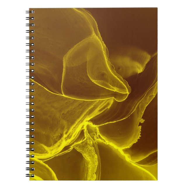 Red leather, texture notebook (Front)