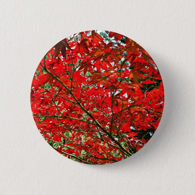 Red leaves 6 cm round badge (Front)