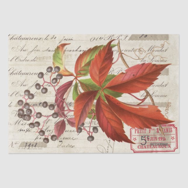 Red Leaves Berries Botanical French Script Craft  Tissue Paper (Front)