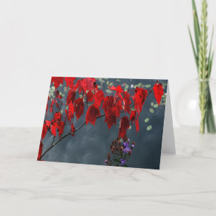 "Red Leaves" Card