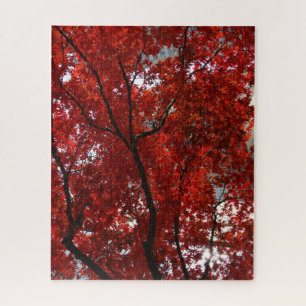 Red Leaves Changing Colour Jigsaw Puzzle