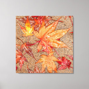 Red Leaves in the Rain Canvas Print