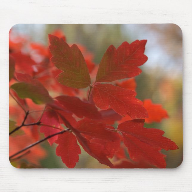 Red Leaves Mousepad (Front)