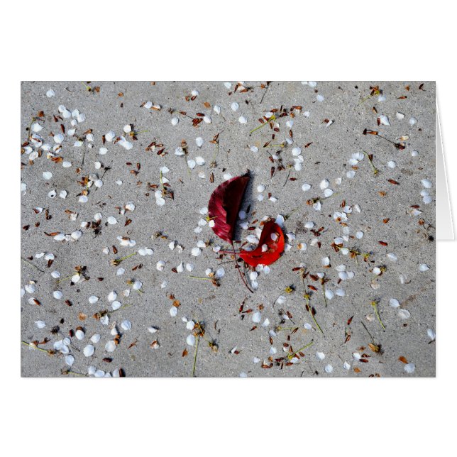 Red Leaves White Petals (Front Horizontal)