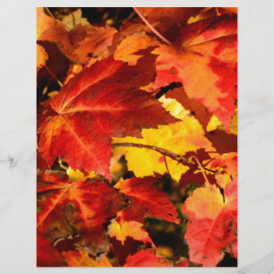 Red leaves yellow leaves golden autumn leaves