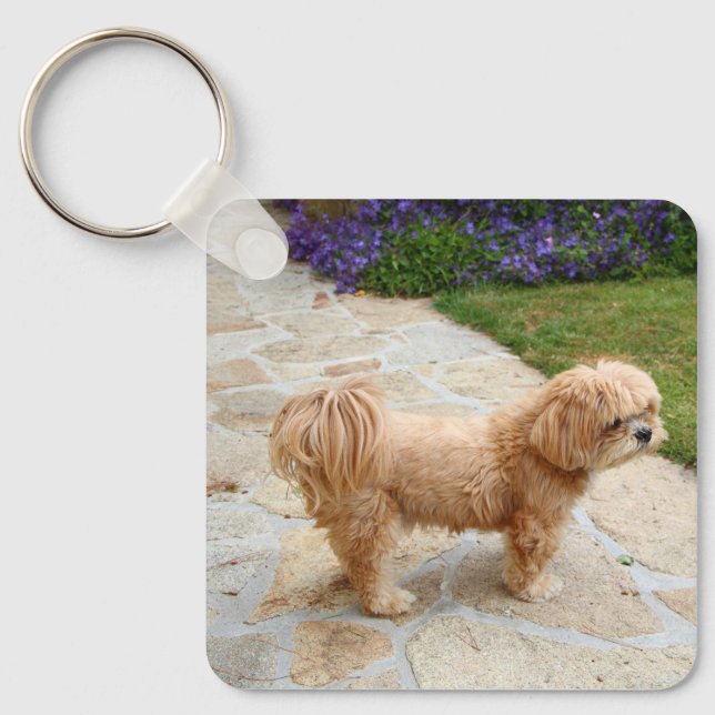 Red Lhasa Apso dog Key Ring (Front)