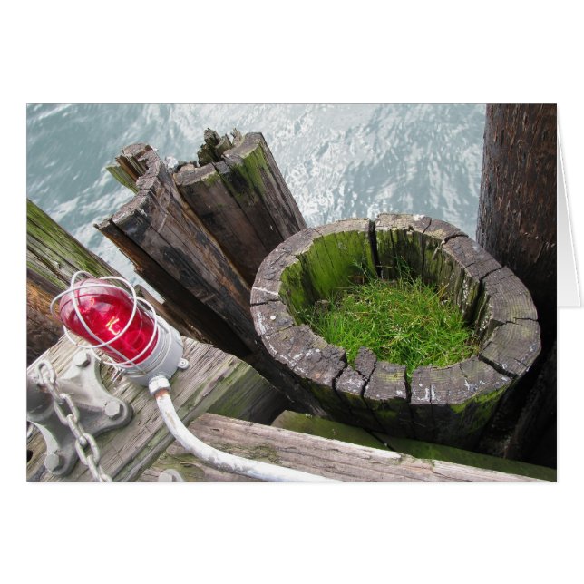 Red Light & Green Grass Blank Card (Front Horizontal)