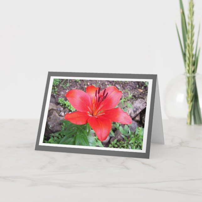 Red Lilie 3 Card (Front)