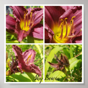 red lilies assortment poster