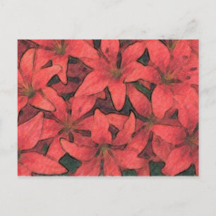 Red Lilies Postcard