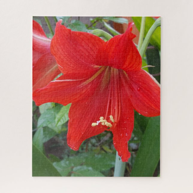 Red Lilly Flower Puzzle  (Vertical)