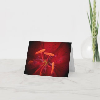 Red Lilly Thank You Notes