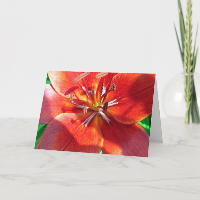 Red Lily Card (Front)