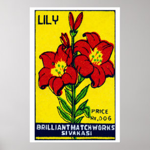 Red Lily Flower - Matchbox Print - Aesthetic Wall