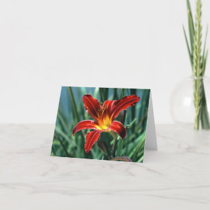 Red Lily Note Card