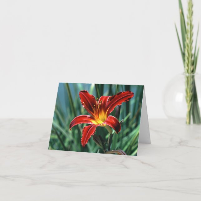 Red Lily Note Card (Front)